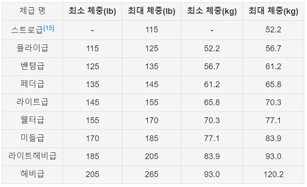 사설토토-UFC 체급 토토 토토사이트 스포츠토토존>